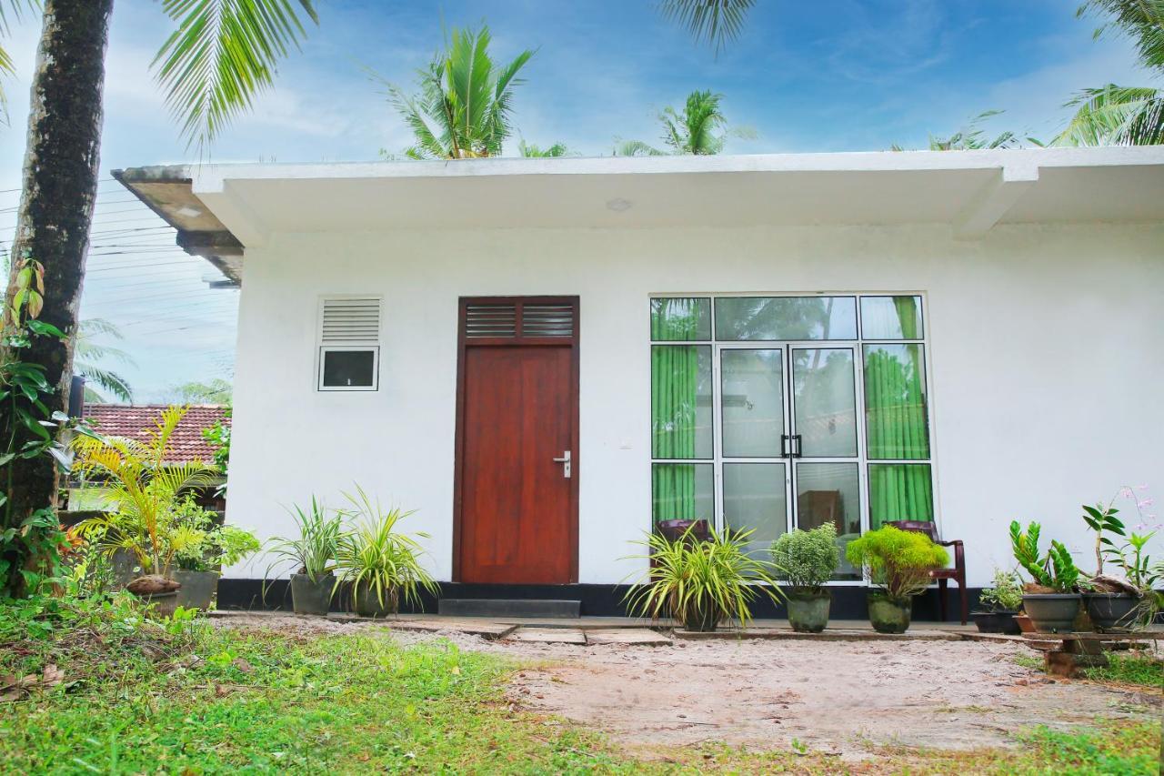 Sandy Palms Guesthouse Hikkaduwa Kültér fotó
