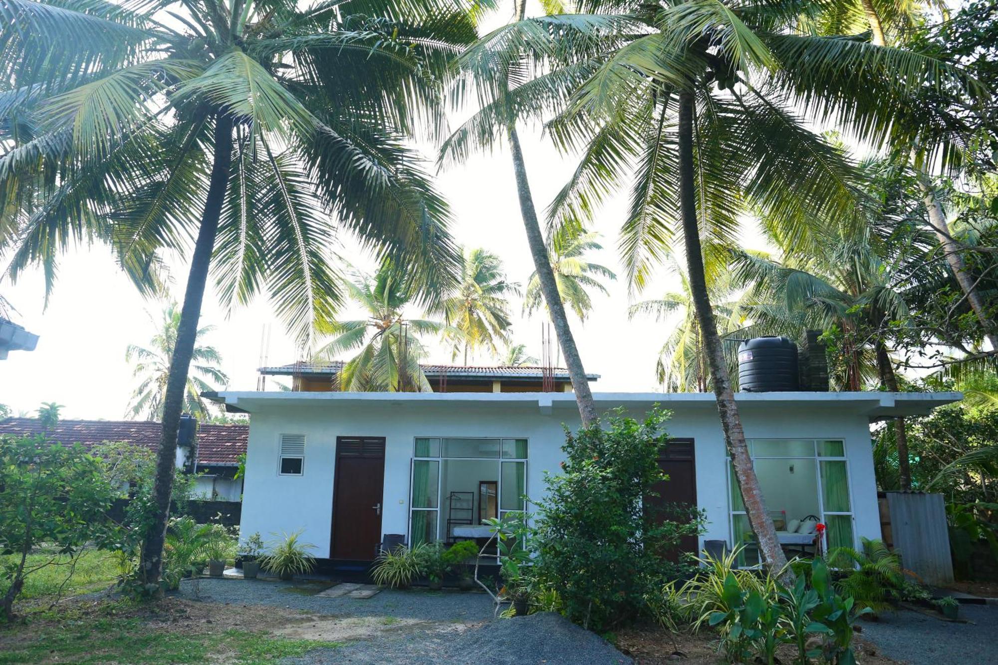 Sandy Palms Guesthouse Hikkaduwa Kültér fotó