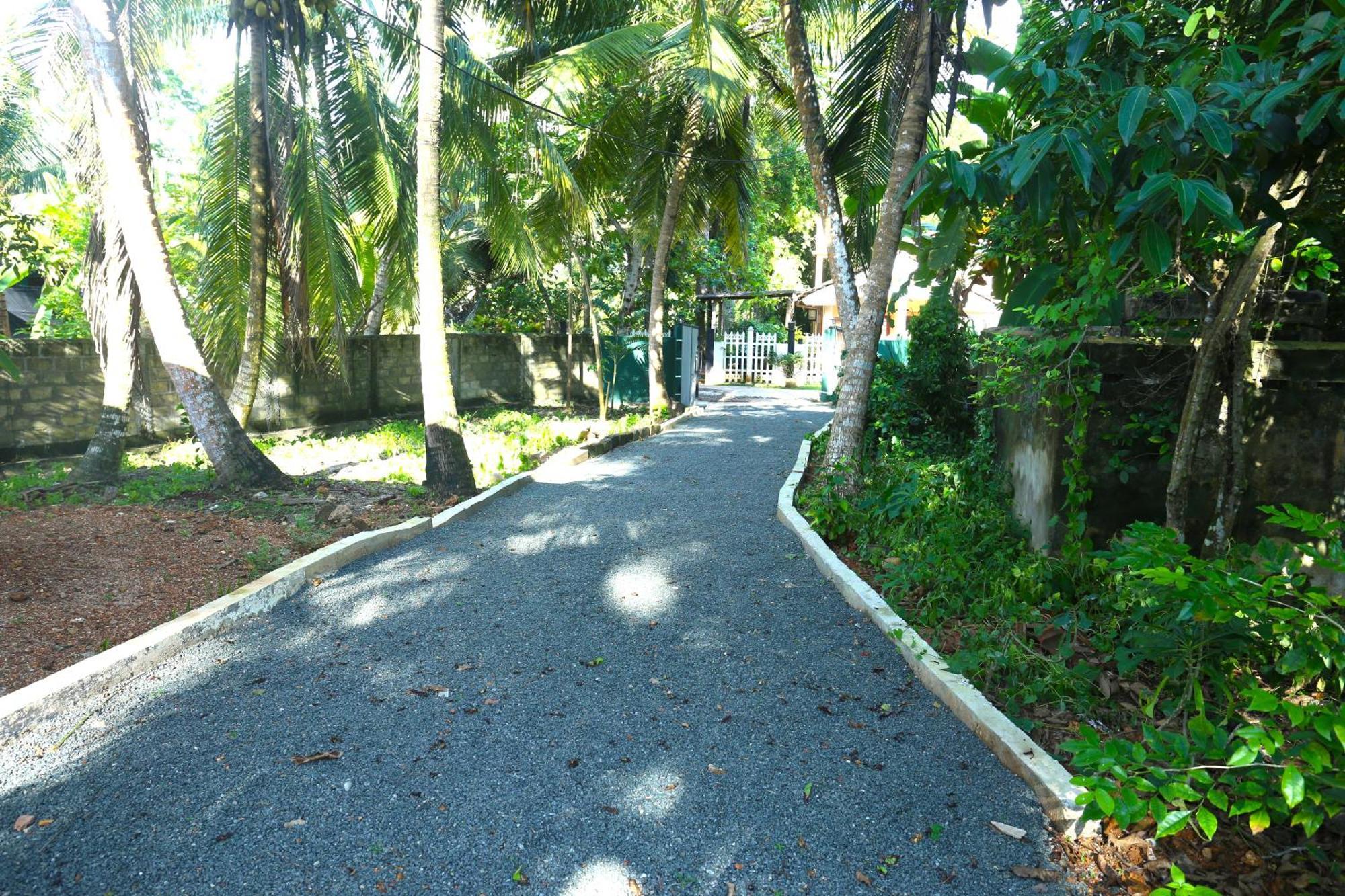Sandy Palms Guesthouse Hikkaduwa Kültér fotó