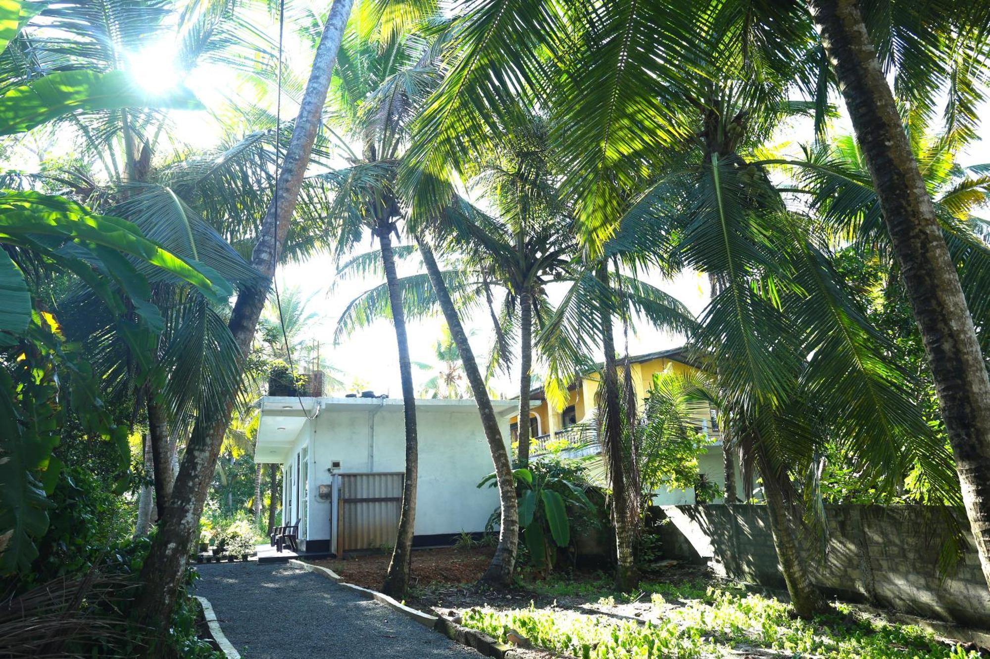 Sandy Palms Guesthouse Hikkaduwa Kültér fotó